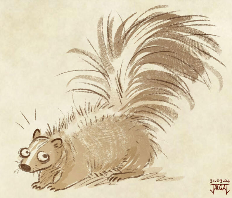 Skunk