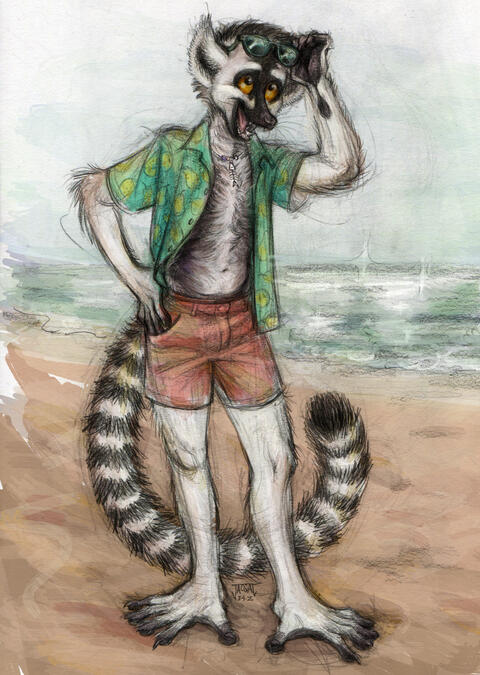 Alex (traditional sketch)